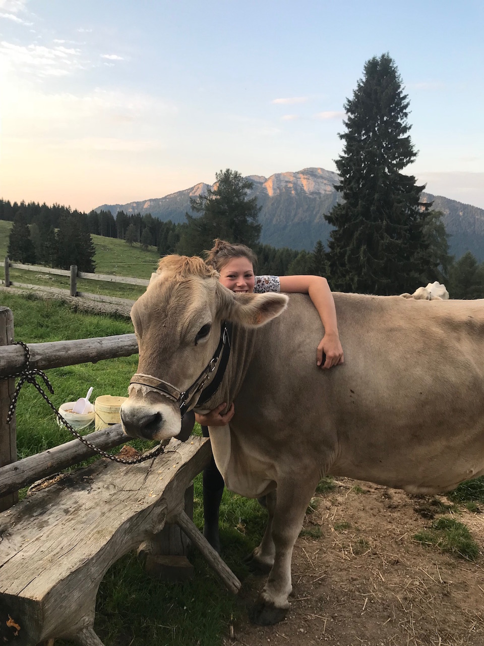 Sara e mucca